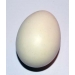 PERFECT EGG